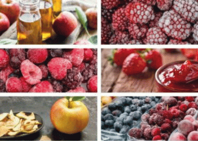 Exportaciones de frutas y hortalizas elaboradas acumuladas al mes de abril crecieron 16% en valor y volumen