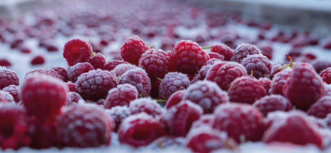 Ucrania: Gobierno impulsa parque industrial para procesamiento de berries y otras frutas