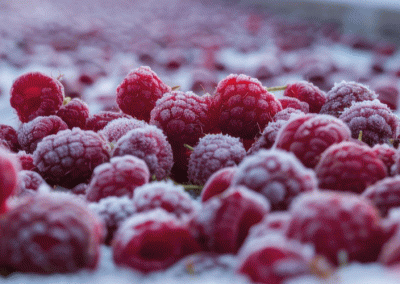 Ucrania: Gobierno impulsa parque industrial para procesamiento de berries y otras frutas