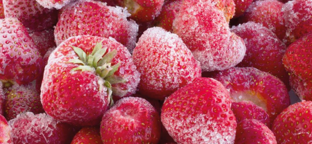 Frutillas congeladas: Egipto tiene un potencial de alcanzar US$43 millones en el mercado estadounidense