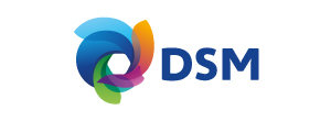 DSM
