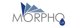 Morph2o Latinoamérica