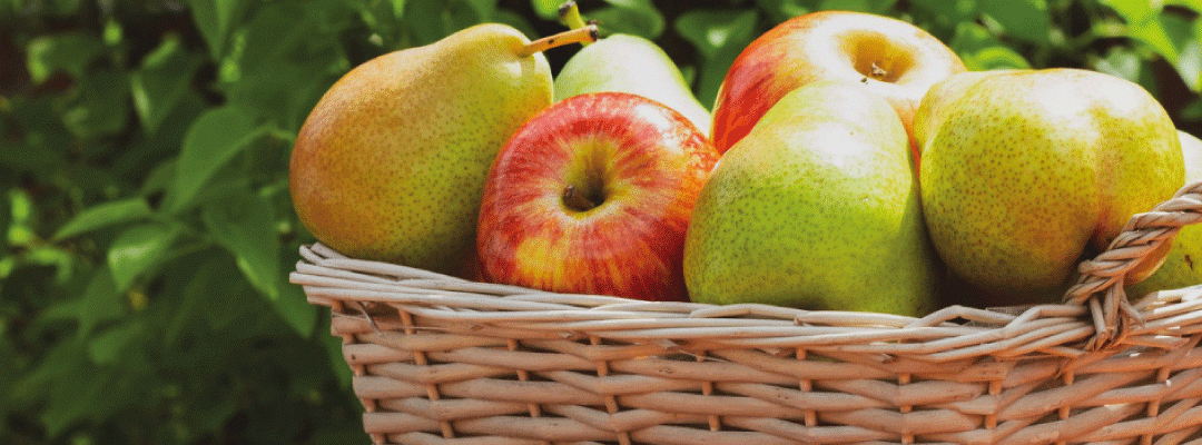 Unión Europea/WAPA: Stocks de manzanas y peras a abril disminuyen 7% y 10%, respectivamente