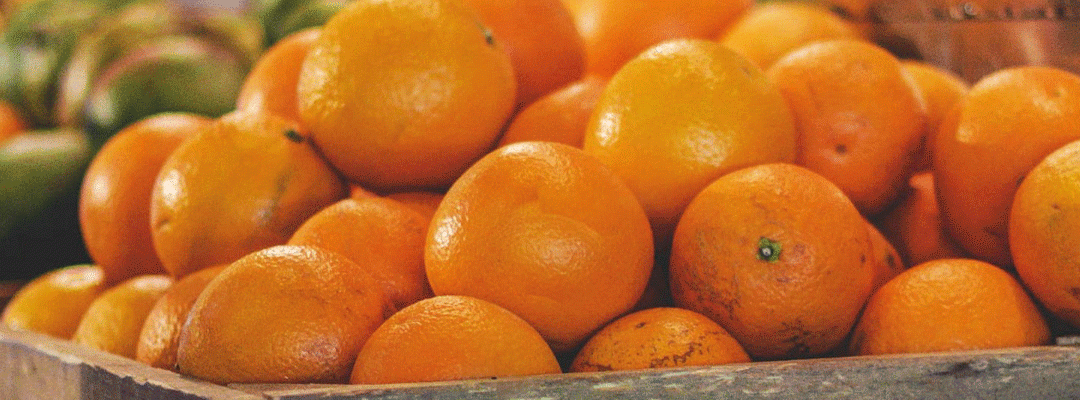 Brasil: pronóstico de cosecha 2025/26 de naranjas se estima en 314,60 millones de cajas