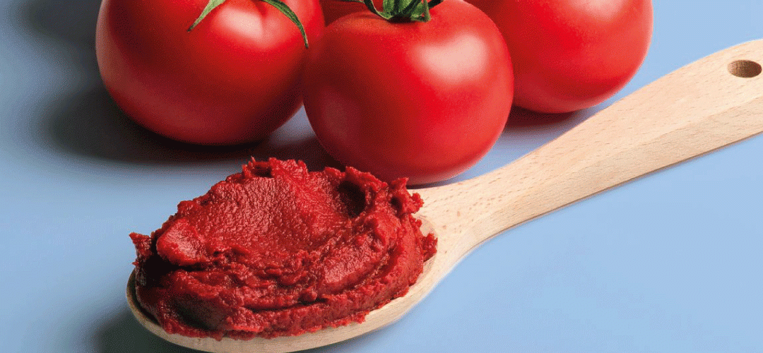 Chile/Pasta de Tomate: Exportaciones crecen 63% en Volumen y llegan a 38 mercados al primer trimestre 2025