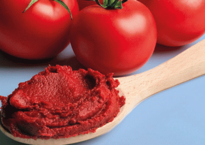 Chile/Pasta de Tomate: Exportaciones crecen 63% en Volumen y llegan a 38 mercados al primer trimestre 2025