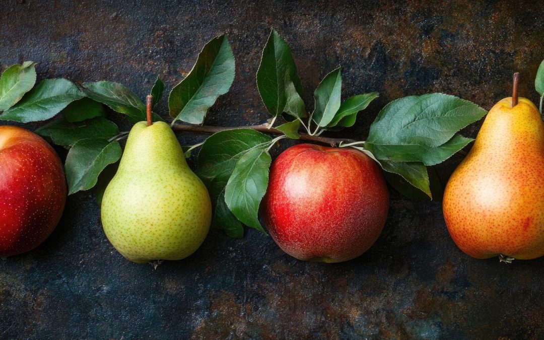 WAPA/Unión Europea: Existencias de manzanas y peras se reducen 6% y 19%, respectivamente, a Mayo 2025