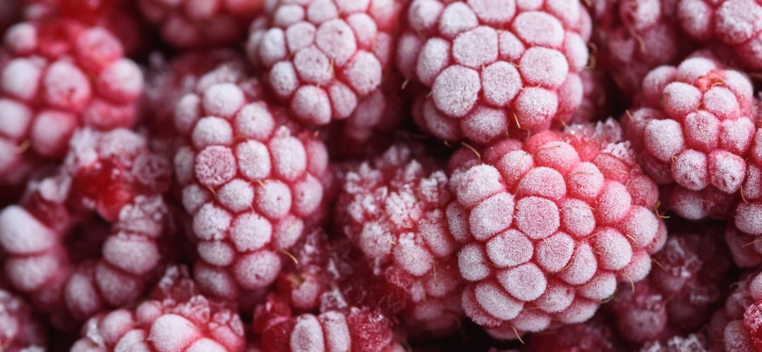 Polonia y Serbia: precios de las frambuesas para la industria desalientan a productores