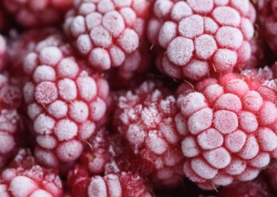 Polonia y Serbia: precios de las frambuesas para la industria desalientan a productores