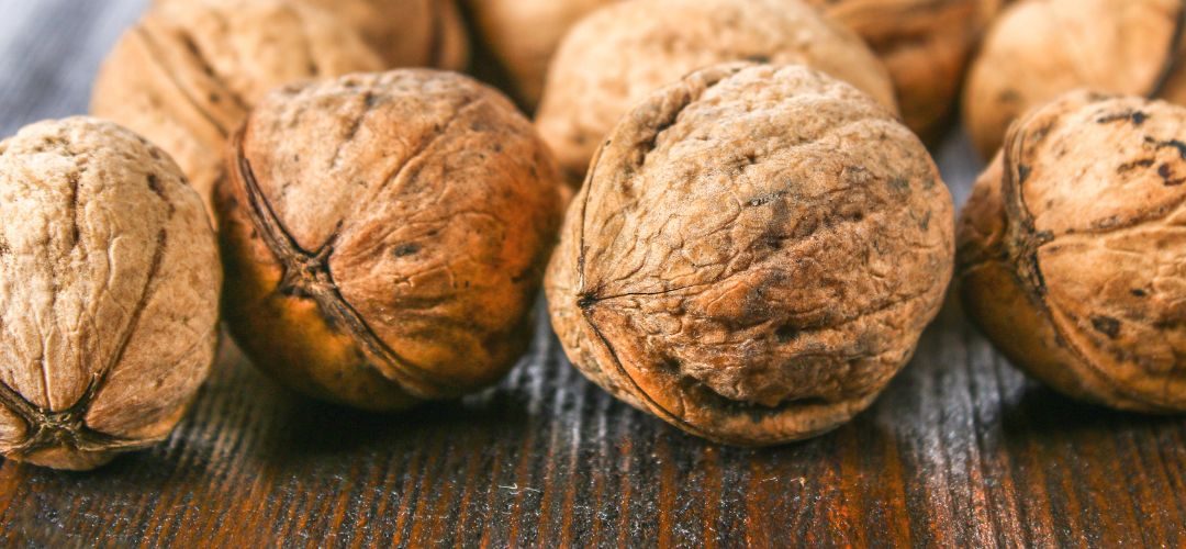 Nueces con cáscara/USA: exportaciones totales caen 58% a Mayo 2025 respecto mismo período año anterior