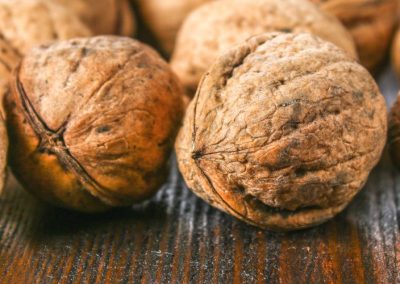 Nueces con cáscara/USA: exportaciones totales caen 58% a Mayo 2025 respecto mismo período año anterior
