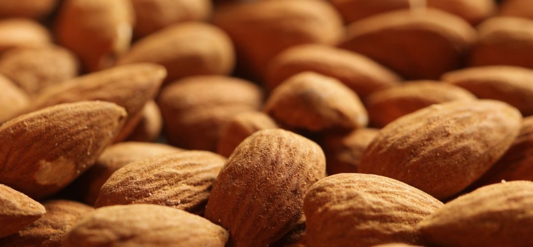 EE.UU/Almendras: Exportaciones a China disminuyen 51% a mayo 2025 y se redistribuyen a otros mercados de Asia