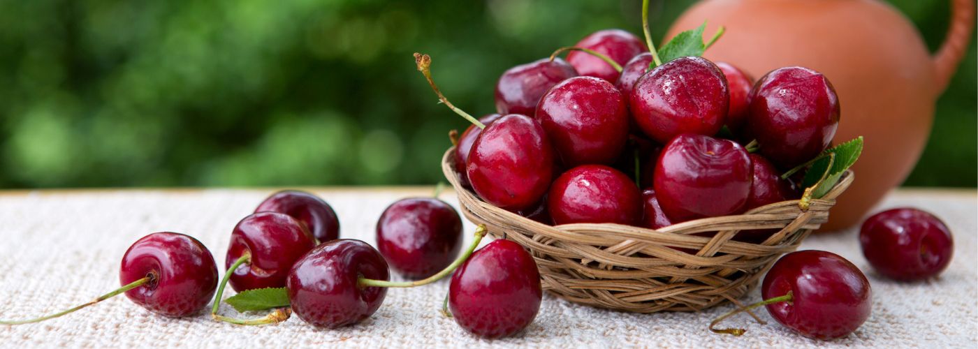 CEREZAS_LOTE_UE