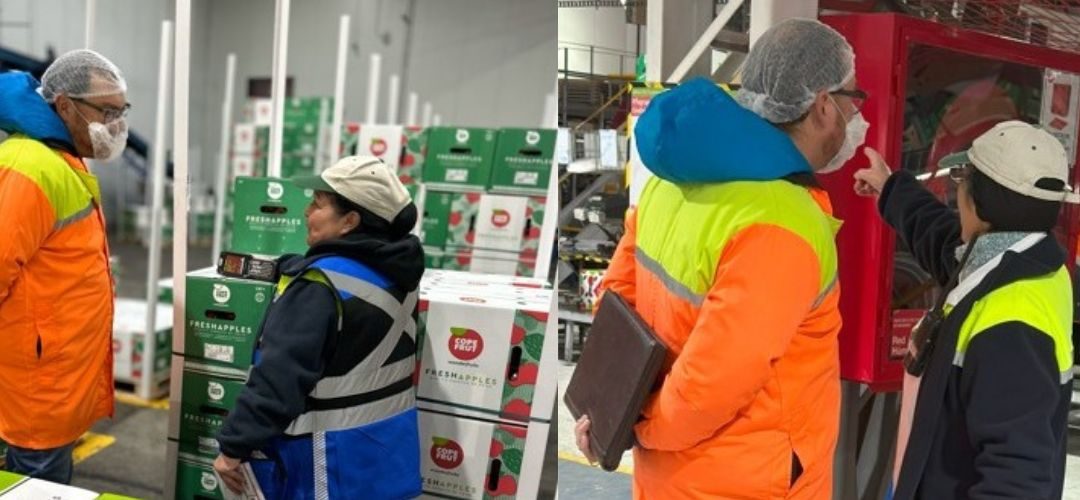 Chilealimentos comienza nuevo proceso de evaluación de competencias laborales en la Región del Maule