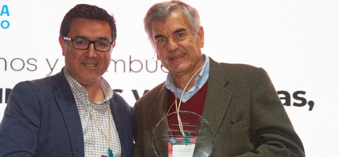 Director de Chilealimentos Antonio Domínguez expuso perspectivas agroindustriales de frambuesas y arándanos a agricultores de la zona sur