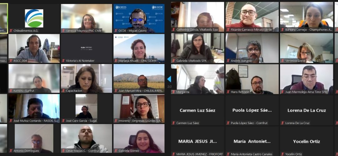 Chilealimentos realizó taller virtual Política Conducta Empresarial Responsable