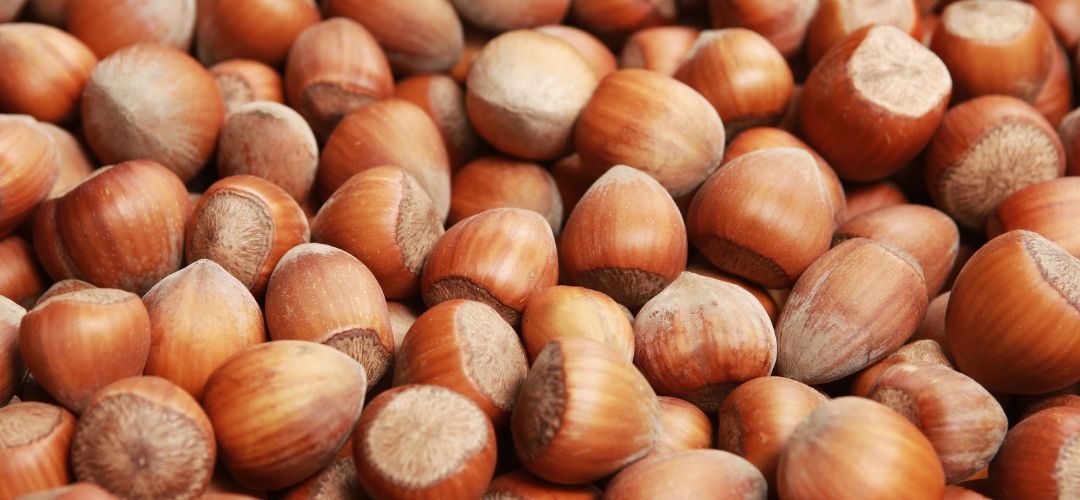 Avellanas/Turquía: Giresun y Ordu sufrirán reducción de cosecha hasta el 50% en 2025/26