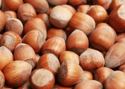 Avellanas/Turquía: Giresun y Ordu sufrirán reducción de cosecha hasta el 50% en 2025/26