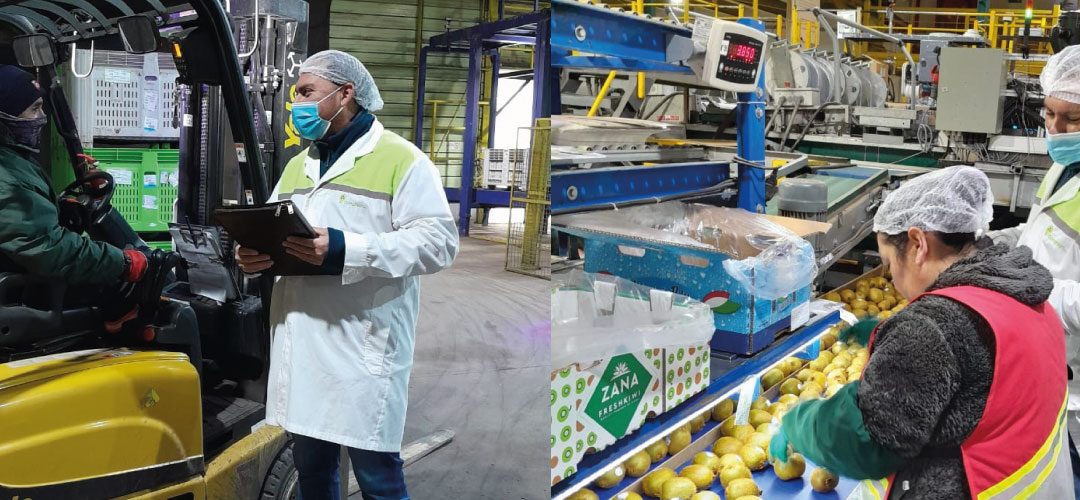 Chilealimentos comenzó proceso de evaluación de competencias laborales para trabajadores de la Región del Maule