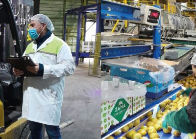Chilealimentos comenzó proceso de evaluación de competencias laborales para trabajadores(as) de la Región del Maule