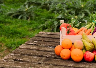 Turquía: Objetivo y alcances de la nueva ley del clima para la agricultura que entró en vigor