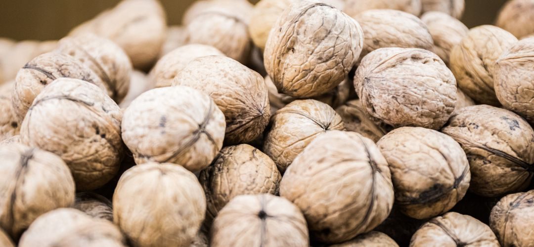 Nueces: nueva normativa gubernamental ha paralizado casi por completo los envíos del cuarto exportador mundial
