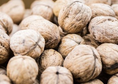 Nueces: nueva normativa gubernamental ha paralizado casi por completo los envíos del cuarto exportador mundial