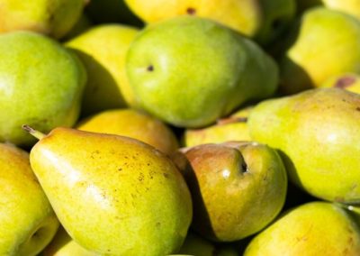 Bélgica: Se reduce 55% el consumo de peras en la última década