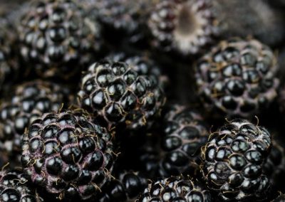Moras: Ucrania tiene rendimientos de hasta 40 toneladas por hectárea