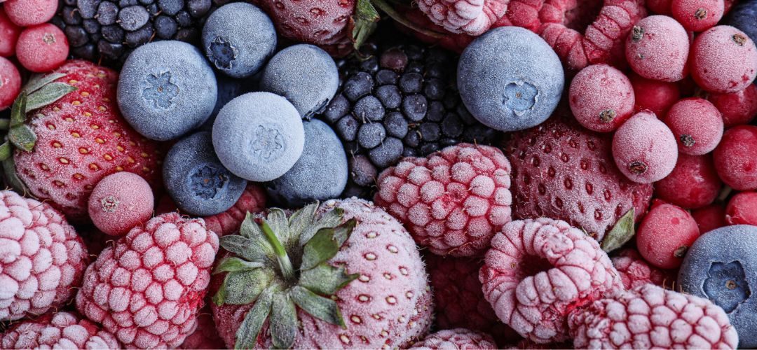 Orgánicos: Berries congelados lideran creciemiento de las exportaciones al primer semestre 2025