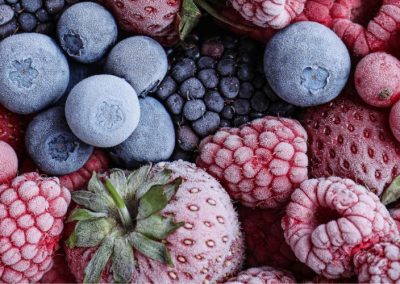 Orgánicos: Berries congelados lideran crecimiento de las exportaciones en Chile al primer semestre 2025