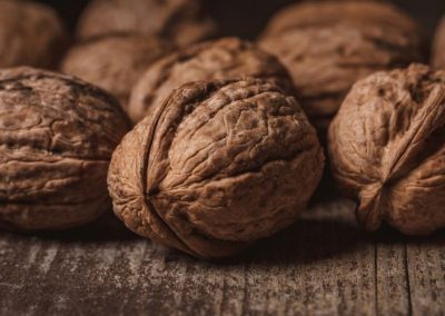 Nueces: Importaciones mundiales superan US$ 1 billón a Mayo 2025