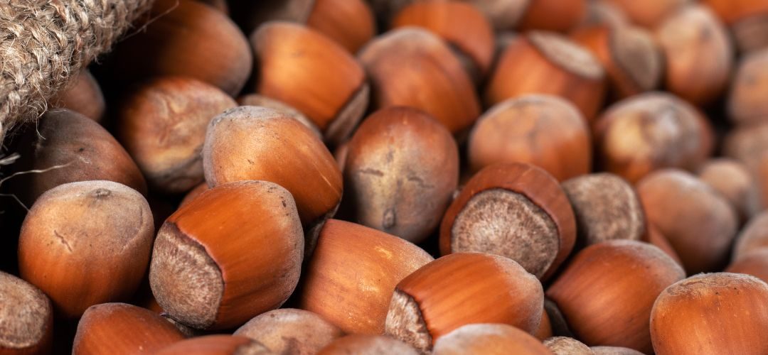Avellanas: los precios podrían alcanzar máximos históricos por bajo rendimiento en Turquía