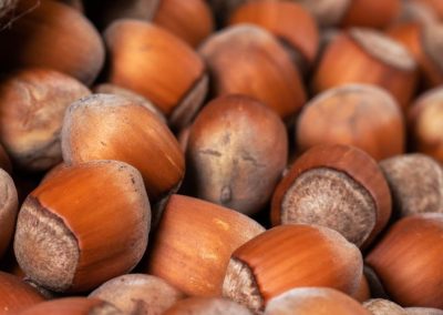 Avellanas: los precios podrían alcanzar máximos históricos por bajo rendimiento en Turquía