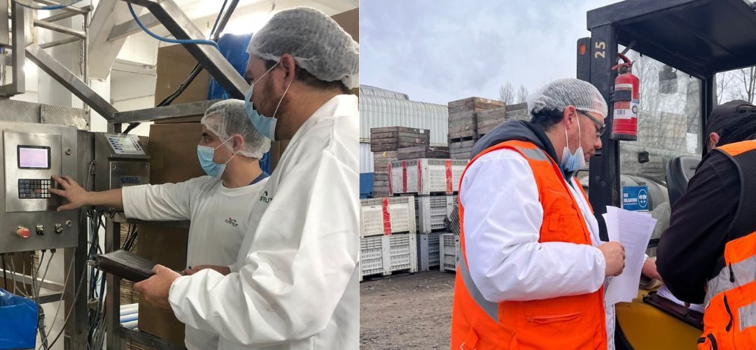 Chilealimentos inicia nuevo proceso de evaluación de competencias en la Región del Maule