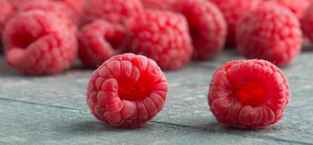 Frambuesa: calidad deficiente para iQF provoca que procesadores priorizarán purés y jugos concentrados en Polonia