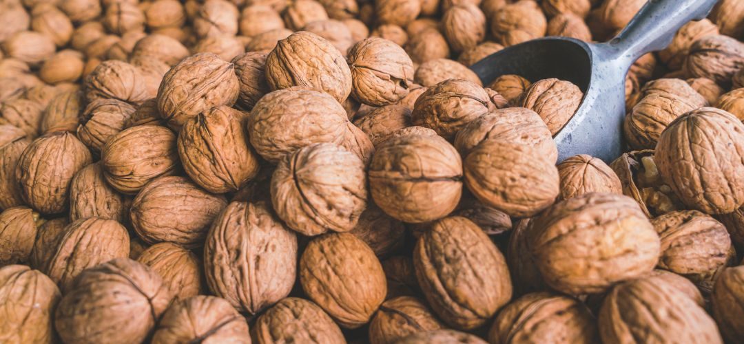 Nueces: 62% se incrementan importaciones de la Unión Europea al primer semestre 2025