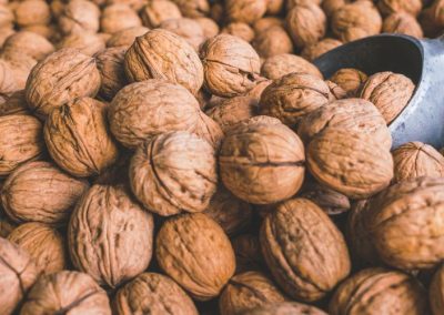 Nueces: 62% se incrementan importaciones de la Unión Europea al primer semestre 2025