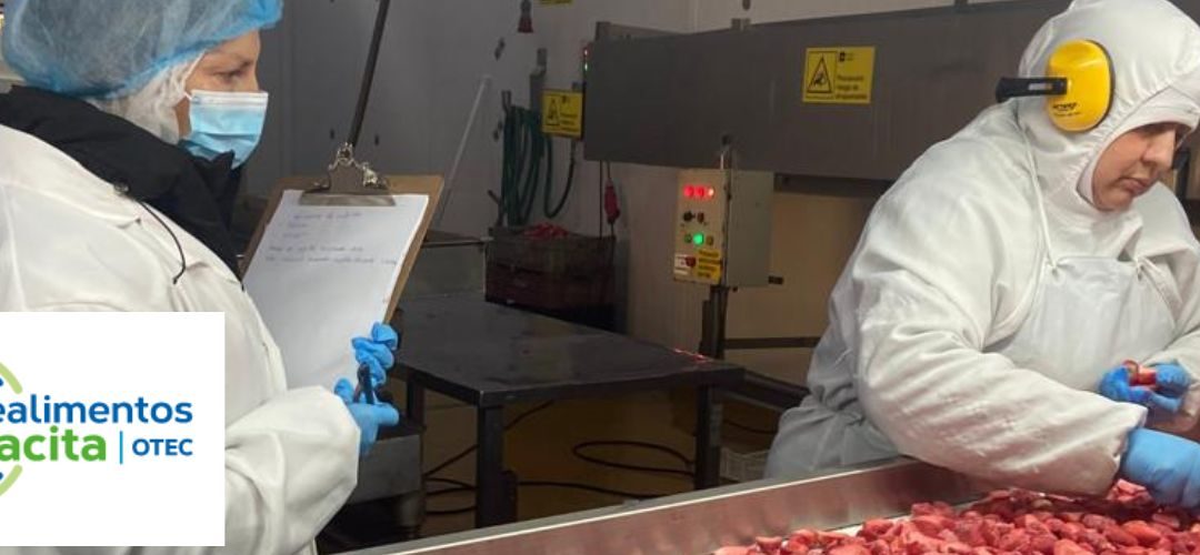 OTEC Chilealimentos Capacita: organismo de capacitación para diversas áreas de la Agroindustria