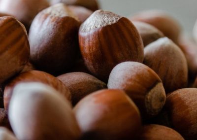 Avellanas: La producción en Turquía creció 10% y finalizó con 717 mil toneladas en 2024