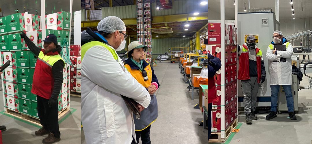 Chilealimentos junto a OTIC Agrocap comenzaron nuevo proceso de evaluaciones de competencias laborales en Linares