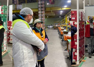 Chilealimentos junto a OTIC Agrocap comenzaron nuevo proceso de evaluaciones de competencias laborales en Linares