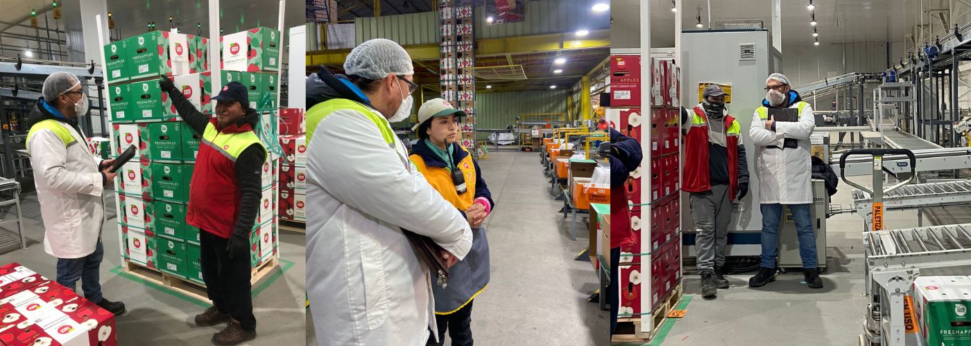 COMPETENCIAS LABORALES COPEFRUT LINARES