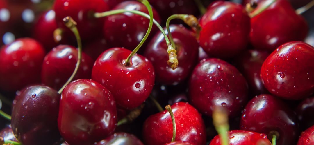 Cerezas: Panorama y perspectivas para los principales productores mundiales y mercados