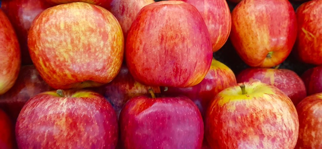Manzanas: Producción brasileña cerró la temporada 2024/25 en 850 mil toneladas