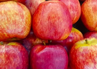 Manzanas: Producción brasileña cerró la temporada 2024/25 en 850 mil toneladas