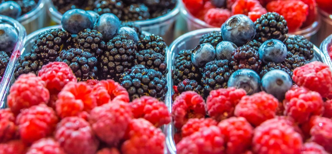 Berries: Superficie de México se reduce 20% en los últimos 4 años