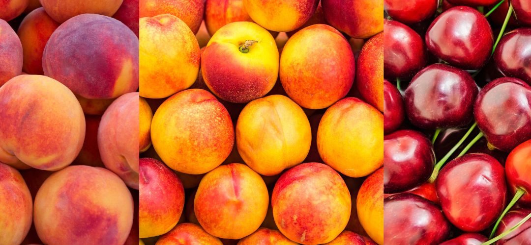 China/Carozos: Producción de duraznos y nectarines caería 3% y las cerezas crecerían 6%