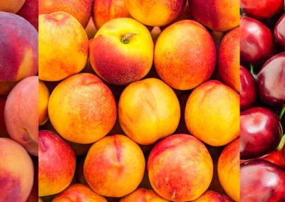 China/Carozos: Producción de duraznos y nectarines caería 3% y las cerezas crecerían 6%