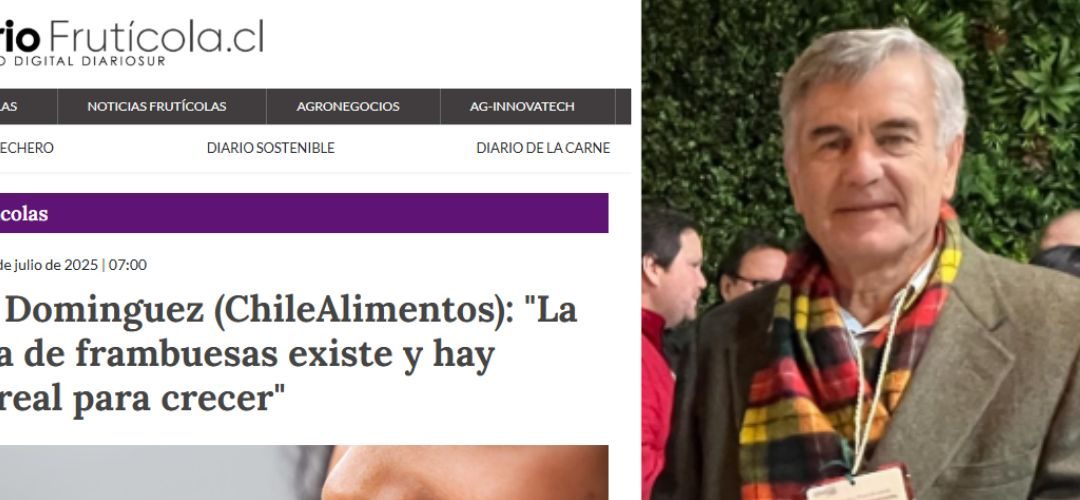 Director de Chilealimentos Antonio Domínguez: “La demanda de frambuesas existe y hay espacio para crecer”